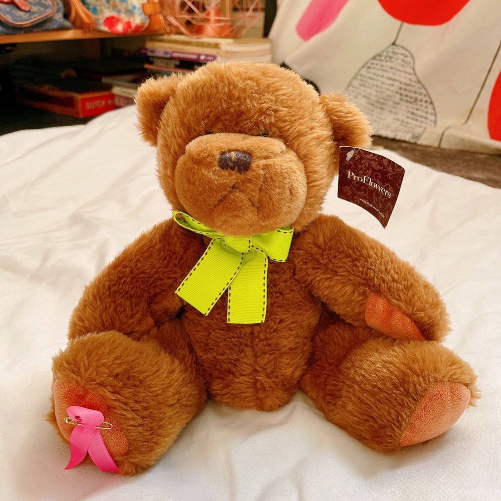 Proflower NWT Teddy bear puff doll